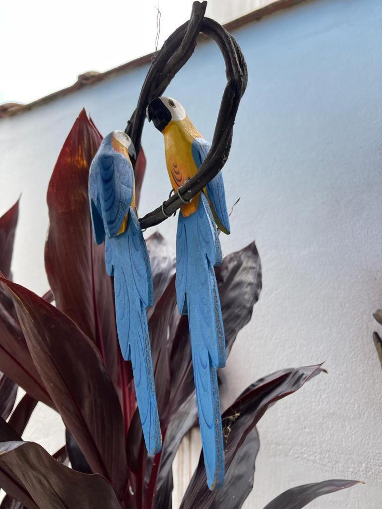 Chales Camburi Sao Sebastiao  Εξωτερικό φωτογραφία